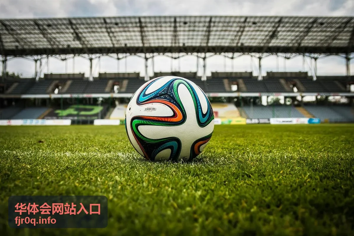 华体会资讯分类标签使用建议封面图